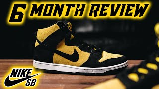 6 Months On  Nike SB Dunk High Reverse Goldenrod Review [upl. by Rooke231]