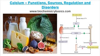 Calcium  Functions Sources Regulation and Disorders  Calcium Metabolism  Calcium [upl. by Lacagnia]