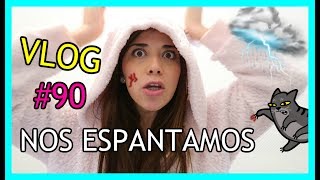 NOS ESPANTAMOS MUCHO PENSAMOS LO PEOR  AmuzkisVlogs ♡ [upl. by Nosredneh101]