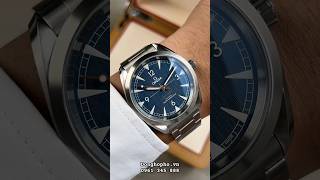 Omega Seamaster Railmaster Blue Dial 22010402003001 size 40mm donghopho omega authentic [upl. by Nosac499]