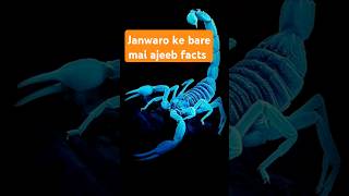 Jaanwaron ke bare me ajeeb facts shorts trending viralvideo animals [upl. by Andie]