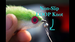 Streamer Fly Fishing  Master Class NonSlip Loop Knot [upl. by Cilurzo621]