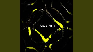 Labyrinth [upl. by Tatman]