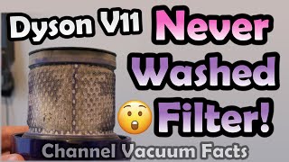 How Long Can You Avoid Washing the Filter on a Dyson V11 Cordless Vacuum [upl. by Arrais286]