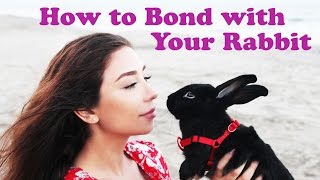 How to Bond with Your Rabbit [upl. by Eissert]