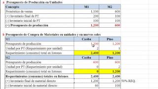 Caso 5 Presupuesto operativo [upl. by Alliuqat617]