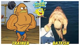 SpongeBob Squarepants Characters in Real Life [upl. by Enelez]