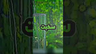 ١٣ نوفمبر ٢٠٢٤ [upl. by Prudi]