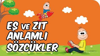 Eş ve Zıt Anlamlı Sözcükler  2 Sınıf Türkçe 📚 [upl. by Avahc]