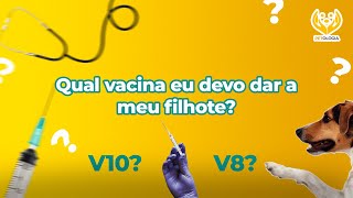 Quais vacinas o cachorro tem que tomar [upl. by Larsen]