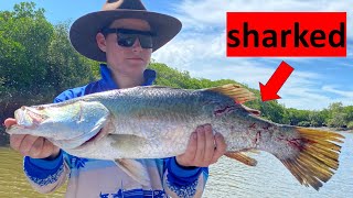 Barramundi fishing with live bait in salt water creek [upl. by Leiahtan]