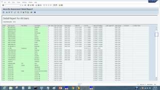 SAP Security Audit For Internal Auditors [upl. by Asilat250]