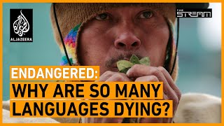 Endangered Why are so many languages dying  The Stream [upl. by Esau]