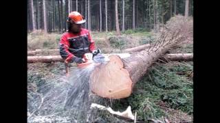 Chainsaw Husqvarna 560 XP or 562 XP [upl. by Savadove]