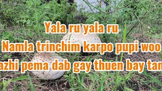 Yala ru  vocal off  Kinley Tshering  Dechen Pem  Bhutanese karaoke song with lyrics [upl. by Elinnet]