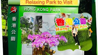 HongKong Park Visit Central HongKong park unwind relaxing [upl. by Ecnerol]