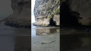 Challenging Nature from Muriwai Beach New Zealand 🇳🇿 [upl. by Edrei]