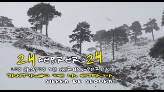 24Feb24 Campos Hernan Perea [upl. by Marella]