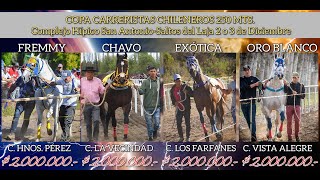 Triunfo de Oro Blanco vs El Chavo vs Exotica vs Fremmy  Challenger Salto del Laja 2023 [upl. by Yemirej]