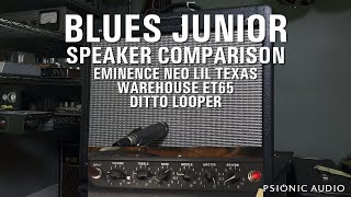 Blues Junior Speaker Comparison  Eminence Neo Lil Texas  Warehouse ET65  Ditto Looper [upl. by Duwalt]