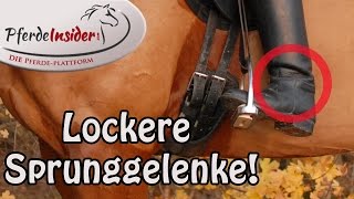 Bewegliche Sprunggelenke  Losgelassener Reiter [upl. by Ientirb]