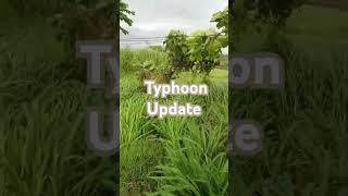 Keep Safe Everyone 🙏 Typhoon Update prayerstyphoonprovincelifeshorts [upl. by Ztirf]