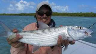 Fishing High Tide amp Big FliesBVI [upl. by Odlanyer549]