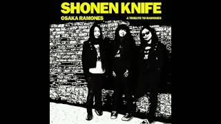 Shonen knife「 The KKK took my baby away」 [upl. by Kleinstein]