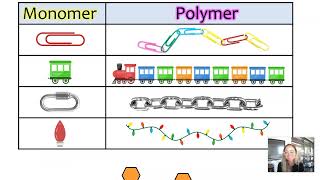 Elements of Life amp Monomer vs Polymer AP Bio topics 12 amp 13 [upl. by Sargent744]