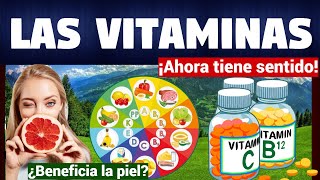 VITAMINAS PARA O CÉREBRO B9 B12 B6 [upl. by Nayhr]