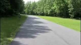 Tuckahoe State Park Campground Review Part 1 [upl. by Yeniffit679]