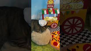 The bread maker is now offering pizzas ￼Pizza Pizzeria Pan YouTube ChefGary Cat [upl. by Dygert341]