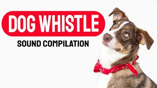 Dog Whistle Sound Compilation See How Your Dog Reacts amp Respond [upl. by Roane296]