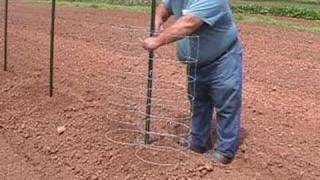 Vegetable Garden  Planting Cucumber [upl. by Ecnarf582]