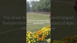 The Great Banyan Tree World largest Banyan tree in India 272 years of Age 1000 of trunk Kolkata [upl. by Brynn]