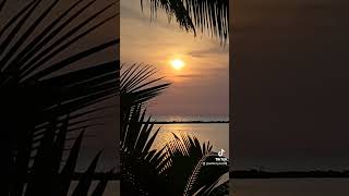 Tropical paradise sunset tropicalparadise oceanview sunsetshorts shorts beautifulnature [upl. by Akem]