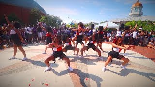 The Iota Rho Chapter of Delta Sigma Theta Sorority Inc 2018 UNCC Yard Show [upl. by Columbyne889]