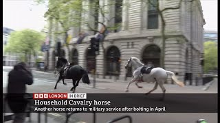 Runaway horses that bolted through London  another one returns to duty update 6 UK 15Nov2024 [upl. by Durware]