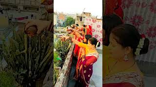 Pavitra rishta ✨💞❣️❤️🧿karwachauth viralvideo [upl. by Newhall]