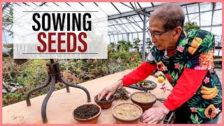 Growing Bonsai From Seeds How to Sow [upl. by Annert672]