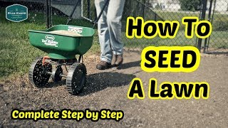 How To Seed a Lawn  Complete Step By Step Guide [upl. by Dnilasor]