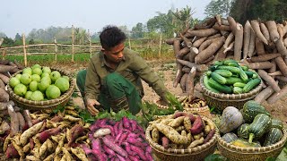 Panorama of CT building agricultural farms harvesting agricultural products to sell at the market [upl. by Ttej]