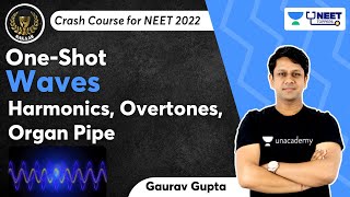 Phoenix 20 Physics Most Important Video for NEET 2025  Unacademy NEET Toppers  NEET [upl. by Dominica]