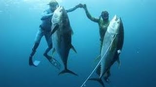 Blue water hunting HD Big Tuna hunter  Spearfishing moments in open ocean [upl. by Hamnet457]