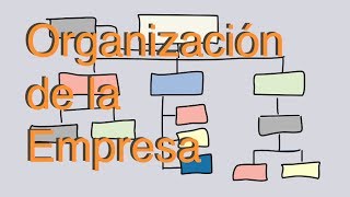 Diseño de la organización de la empresa [upl. by Madelyn503]