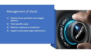 Shock and Vasopressors [upl. by Earla]