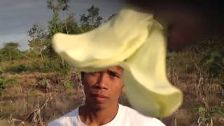 Lombok Huge Edible Sesbania grandiflora Flowers [upl. by Abijah126]