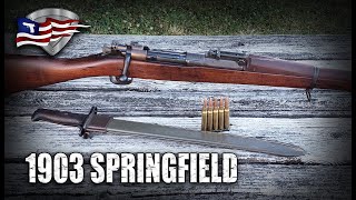 The 1903 Springfield Rifle  History and Features [upl. by Annalee]