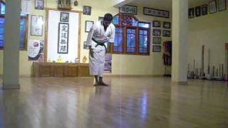 Jitte  Okinawa Shorin Ryu Karatedo KYUDOKAN [upl. by Cinelli]