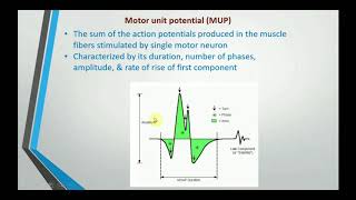 Electromyography EMG [upl. by Wieche416]